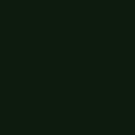 Light Precipitation (WX1)